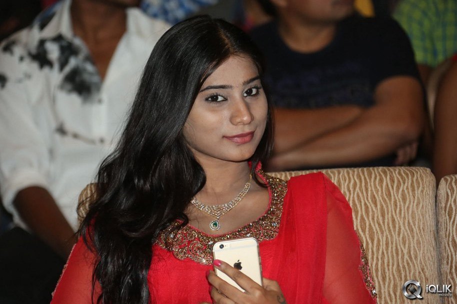 Lakshmi-Raave-Maa-Intiki-Movie-Audio-Launch